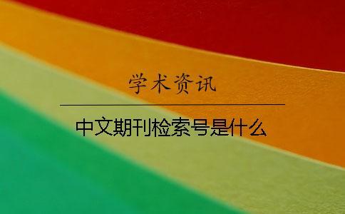 中文期刊檢索號是什么